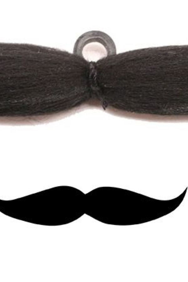 Αποκριάτικο Αξεσουάρ Μουστάκι Πολυμορφικό 15cm